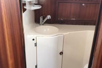 Sas Vektor 401, Anika