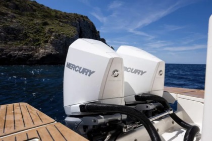 Quicksilver 875 Activ Sundeck 2024