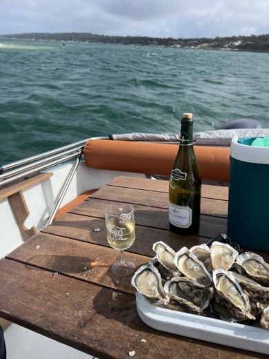 Motorboat Jeanneau Cap camarat 6.15 WA : LAC DE CAZAUX Plan du bateau