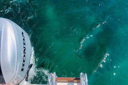 splendida barca del 2023