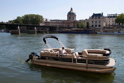 Czarter Łódź motorowa Suntracker Party Barge 24 feet Paryż