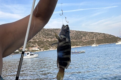 Cordelia Sea Ray Sundancer