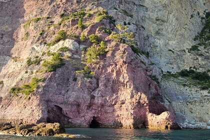 CAP23 skipper incluso nel prezzo