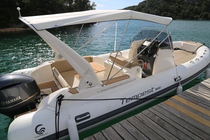 Charter RIB CAPELLI TEMPEST 800 L'Île-Rousse