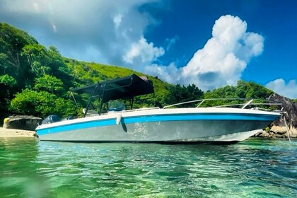 Rental Motorboat Wellcraft Scarab 30 Mahé