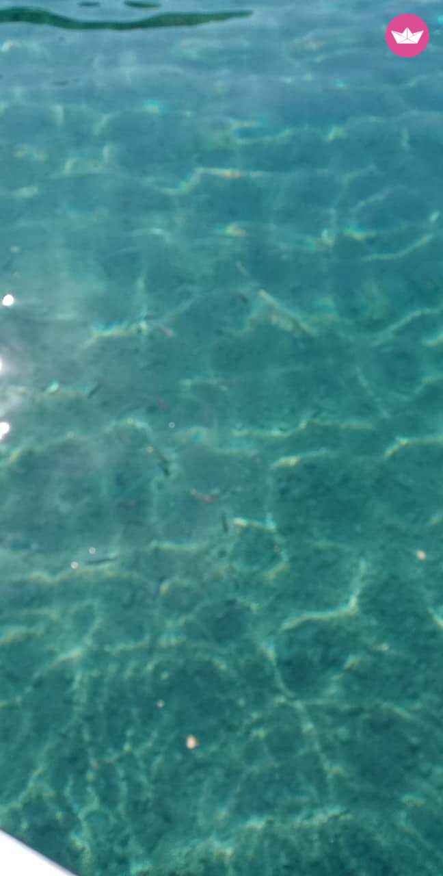 Motorboat Princess 55 for rental