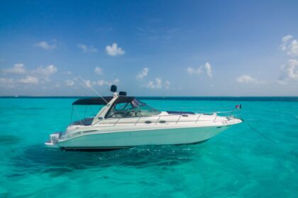 Searay Yacht to rent