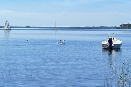 Location Bateau à moteur NAUTI-BOY 1999 Lacanau