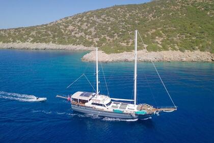 Verhuur Gulet custom custom Muğla