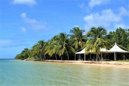 barca per visitare le isole e mangrovie