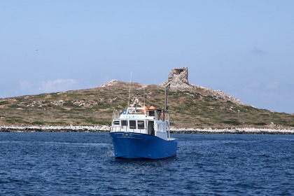 Peschereccio di nuova costruzione