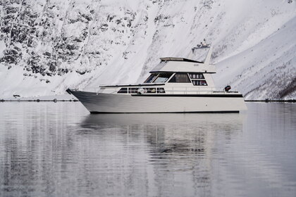 Hire Motor yacht Furnes Furnes Bat 42 Trondheim