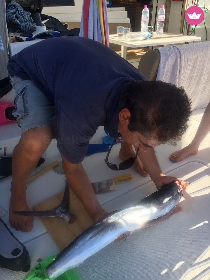 Catamaran Lagoon Lagoon 39 12m 8