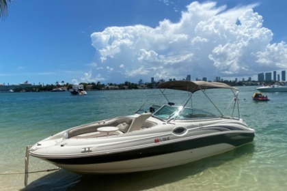 Charter Motorboat 26' Sea Ray 240 Sundeck Miami