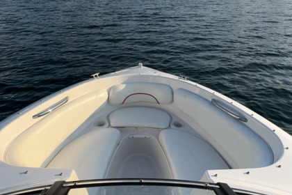 Chris Craft Bowrider 19