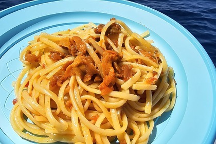 Una giornata nel yacht Saxdor 320 GTO da 600cv