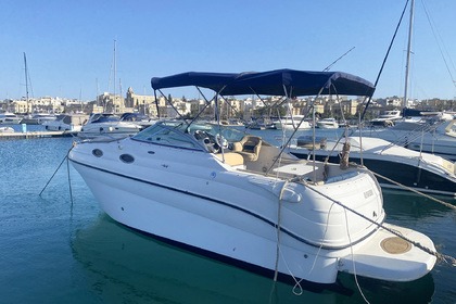 Hire Motorboat Ranieri Capt and crew INCLUDED Ta' Xbiex