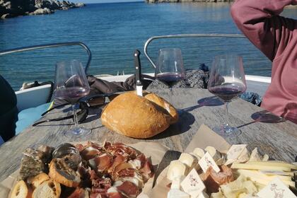 Sortie en mer tout inclus - Capitaine privé - Propriano