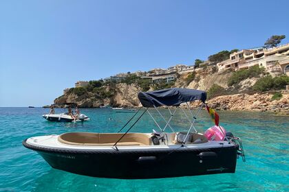 RENT A BOAT - No LICENSE - MARION 500 WITH SOLARIUM