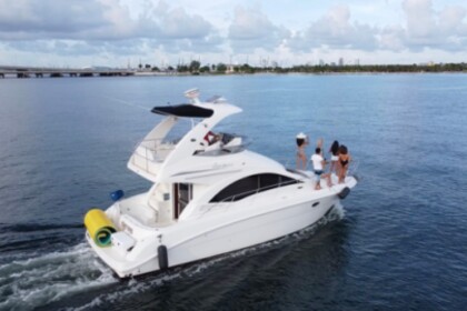 Hire Motorboat Sea Ray Flybridge Miami
