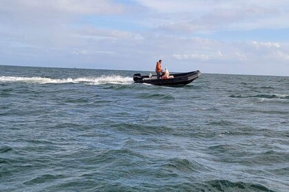 Location Semi-rigide Zodiac Pro 12 Man Bénodet