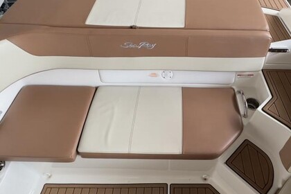 Sea Ray SPXE190 (mit Skipper)