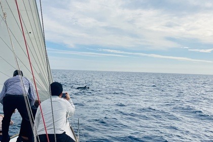 Location Voilier Dufour Dufour 40e Performance Bandol