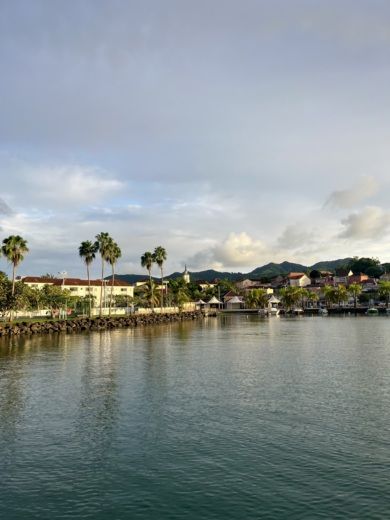 Les Trois-Îlets Catamaran DEAN 441 alt tag text