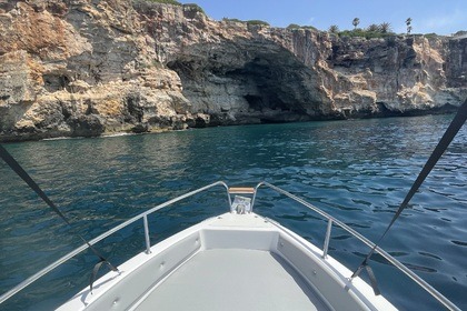 Charter Boat without licence  Aquabat Sport line 17 Es Trenc