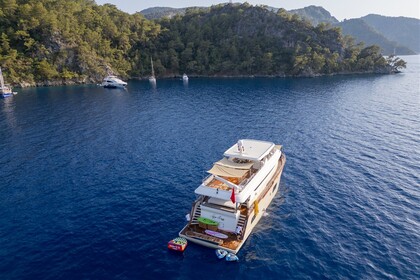 Custom Built luxury motor yacht with a capacity of 12 people