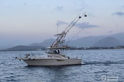 MYSTIC – Fishing Charter Experience