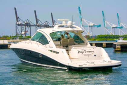 Hire Motor yacht 50' SeaRay GREAT CHARTER IN MIAMI BEACH! Miami Beach