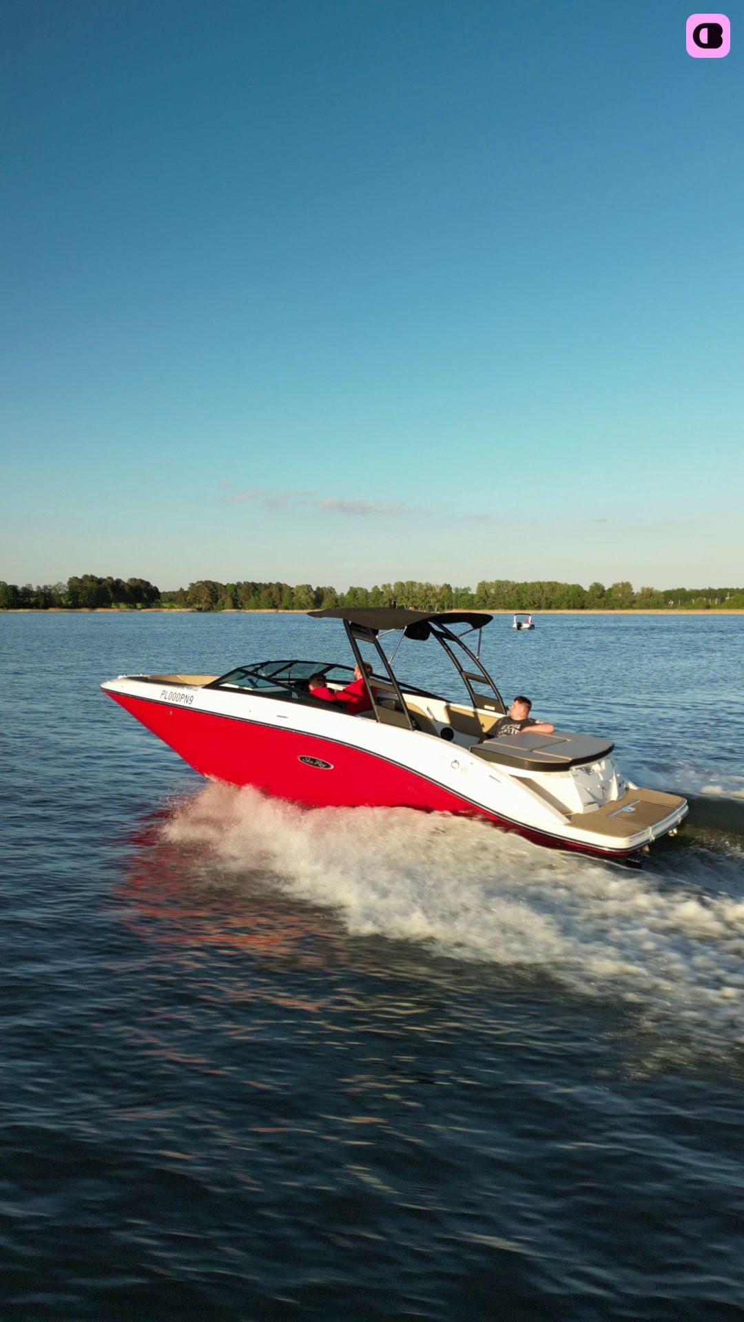 Bateau à moteur Sea Ray