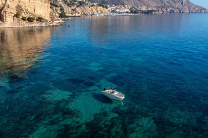 Quicksilver 755 Sundeck - Dana