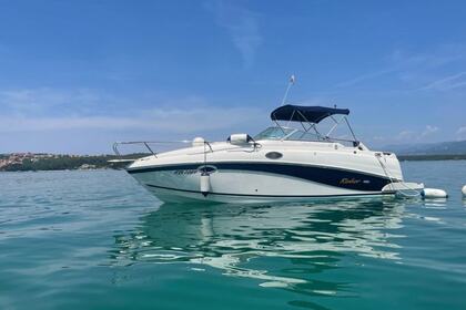 Charter Motorboat Rinker 250 fiesta vee Zadar