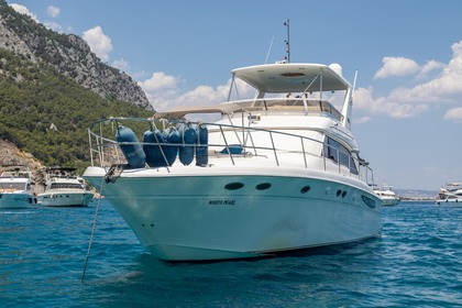 Charter Motorboat Sea Ray 480 sedan bridge Antalya