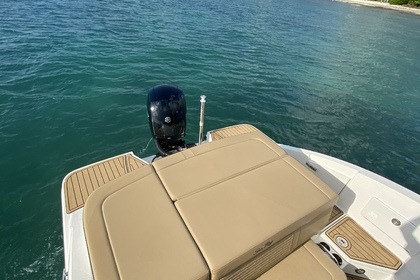 5⭐️ Sea Ray 24’ 2022. All inclusive