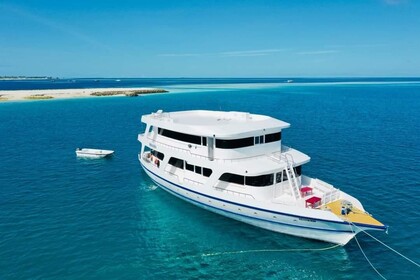 Charter Motor yacht Dhinasha Yacht Maldives