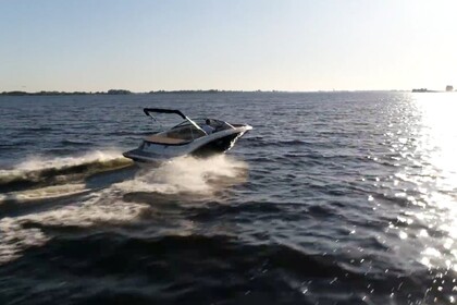 Sea Ray SPXE190 (mit Skipper)