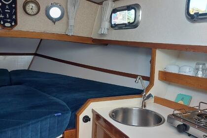 De Goudvink, a cozy two-person motorboat