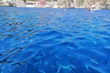 NOLEGGIO GOMMONE PAJARA RIBS28