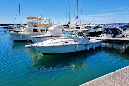 Location Bateau à moteur Pursuit 3000 Express San Felice Circeo