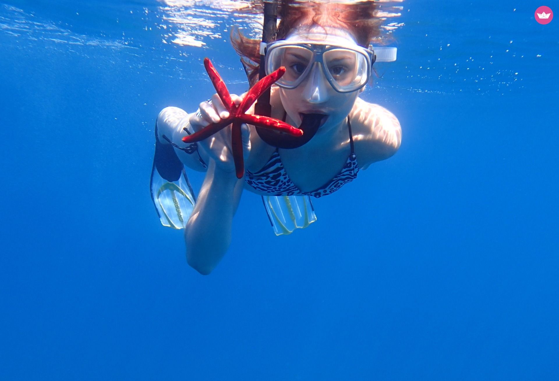 Seastar Horizon in Chania  