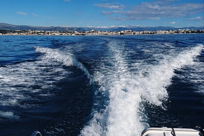 BAYLNER TROPHY 2052 WA PRO