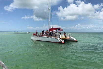 Catamaran Charter Miami L Rent At The Best Prices Click Boat