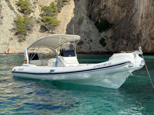 Black Fin Elegance 25