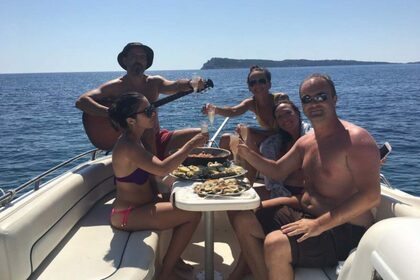 Sea Ray 240 Sundeck (The Wizard) with crew included