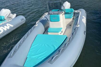 Czarter Ponton RIB Bwa California 550 Olbia