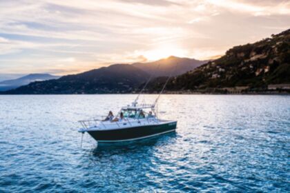 Pursuit 3400 "Express" 12 metres