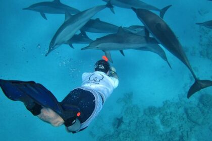 Hire Motorboat Acquaviva d Touristic Villages